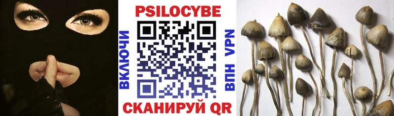 купить наркотики сайты  Калуга  Псилоцибиновые грибы прущие грибы 