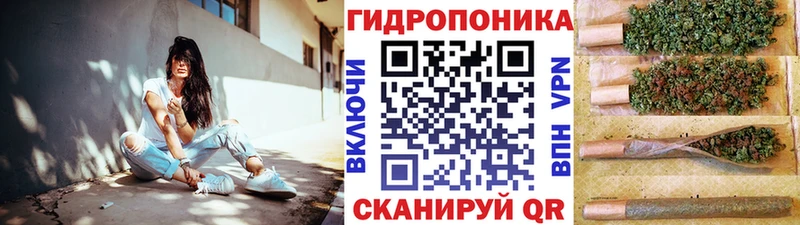 Канабис сатива  KRAKEN зеркало  Калуга 